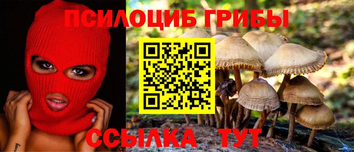 Галлюциногенные грибы мухоморы  где купить наркоту  Белгород  Вход с VPN 
